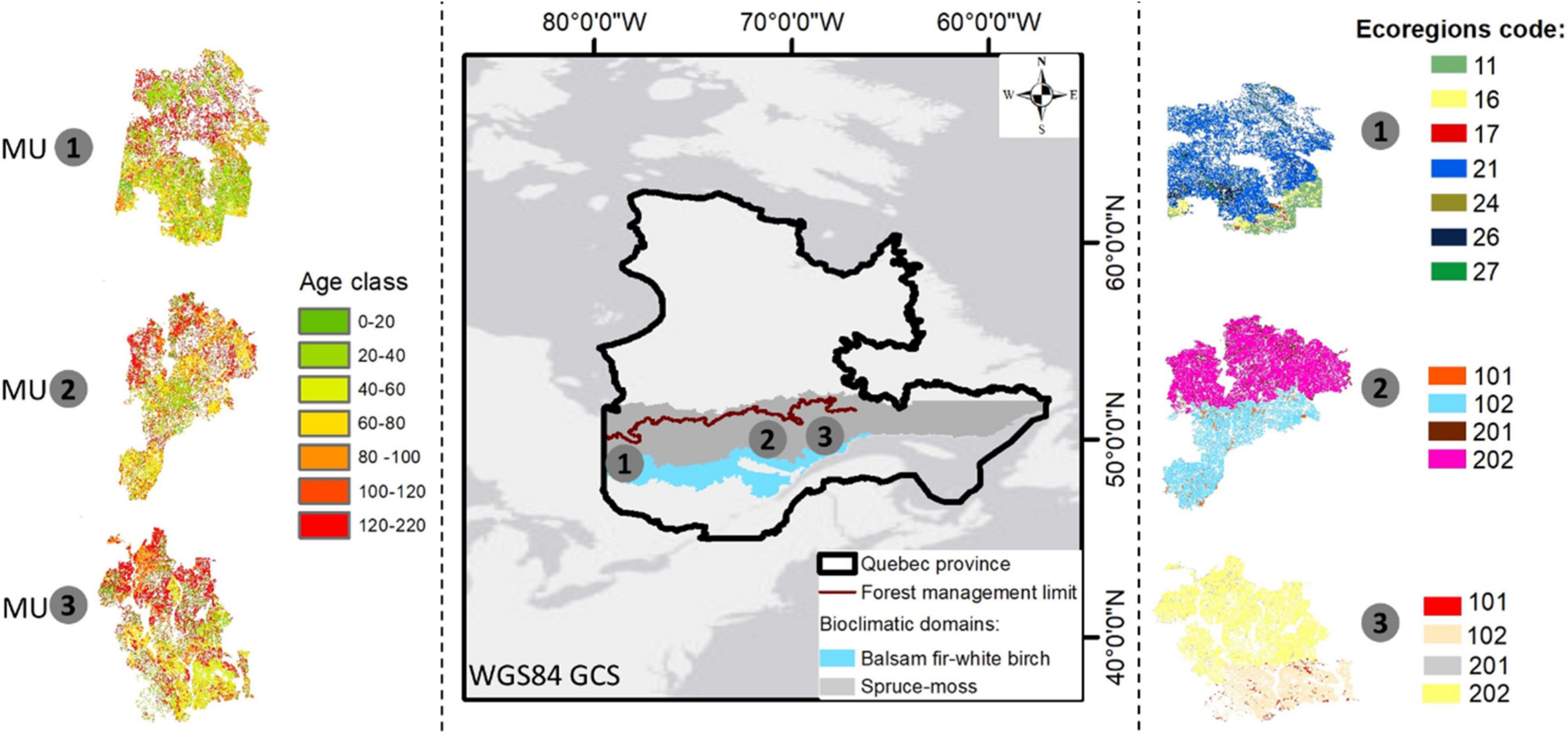 Climate change may increase Quebec boreal forest productivity in high latitudes by shifting its current composition